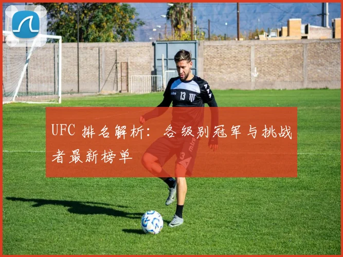 UFC 排名解析:各级别冠军与挑战者最新榜单