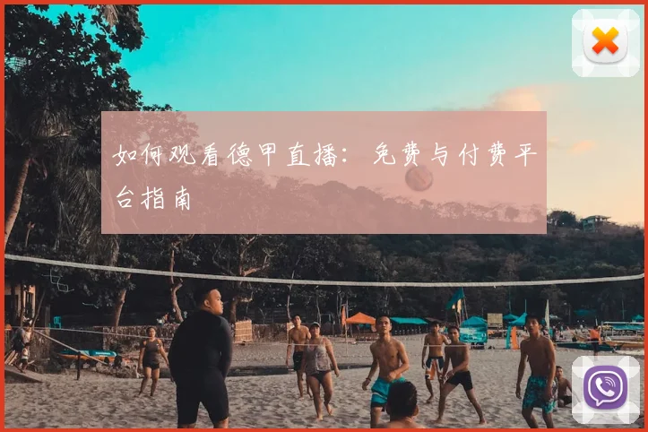 如何观看德甲直播:免费与付费平台指南