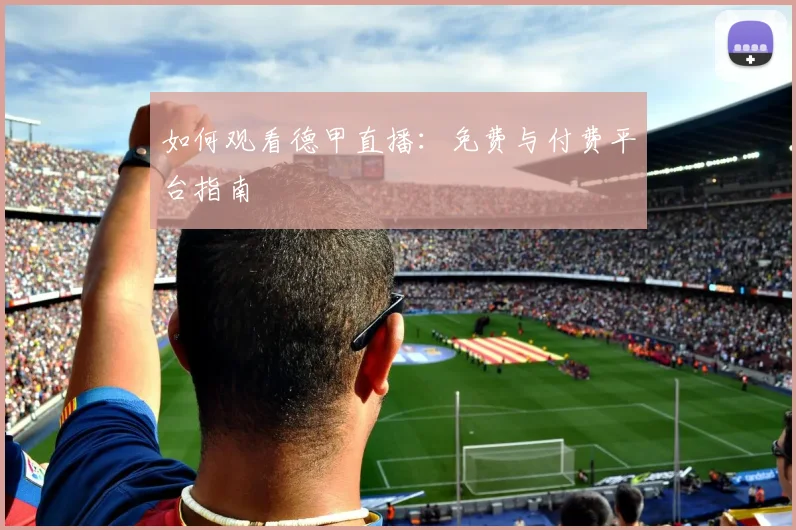 如何观看德甲直播：免费与付费平台指南